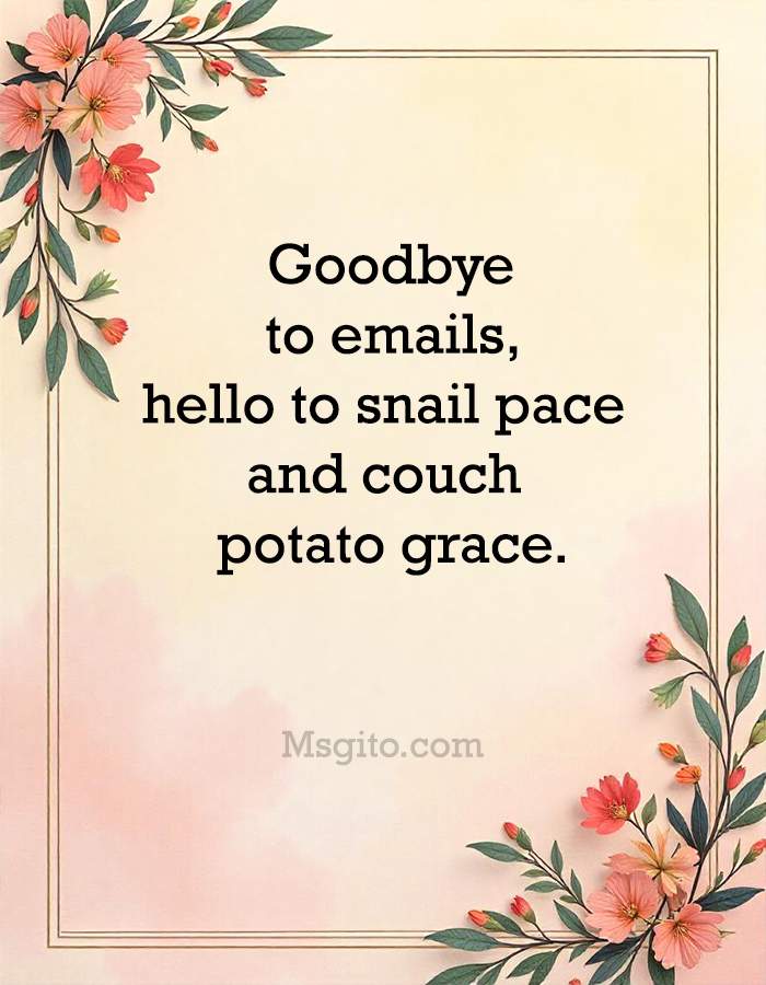 Goodbye to emails, hello to snail pace and couch potato grace.