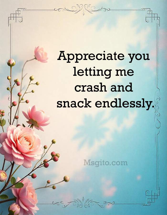 Appreciate you letting me crash and snack endlessly.